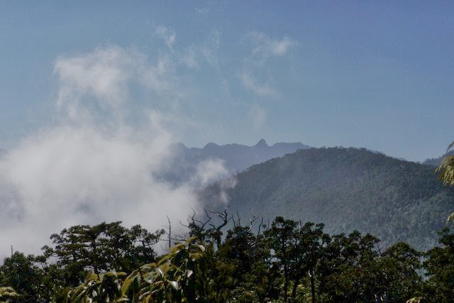 2013_0130-0131 復興雙障-嘎拉賀上唐穗山連走稜山_081