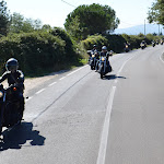 DSC_0141.JPG