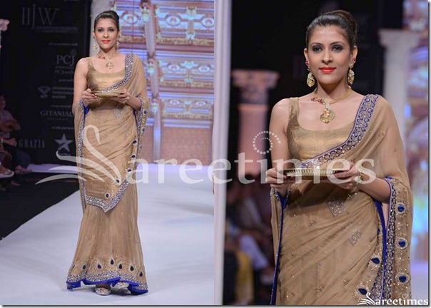 Day_3_IIJW_Brown_Saree
