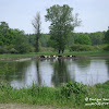 dsc06625.jpg