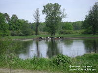 dsc06625.jpg