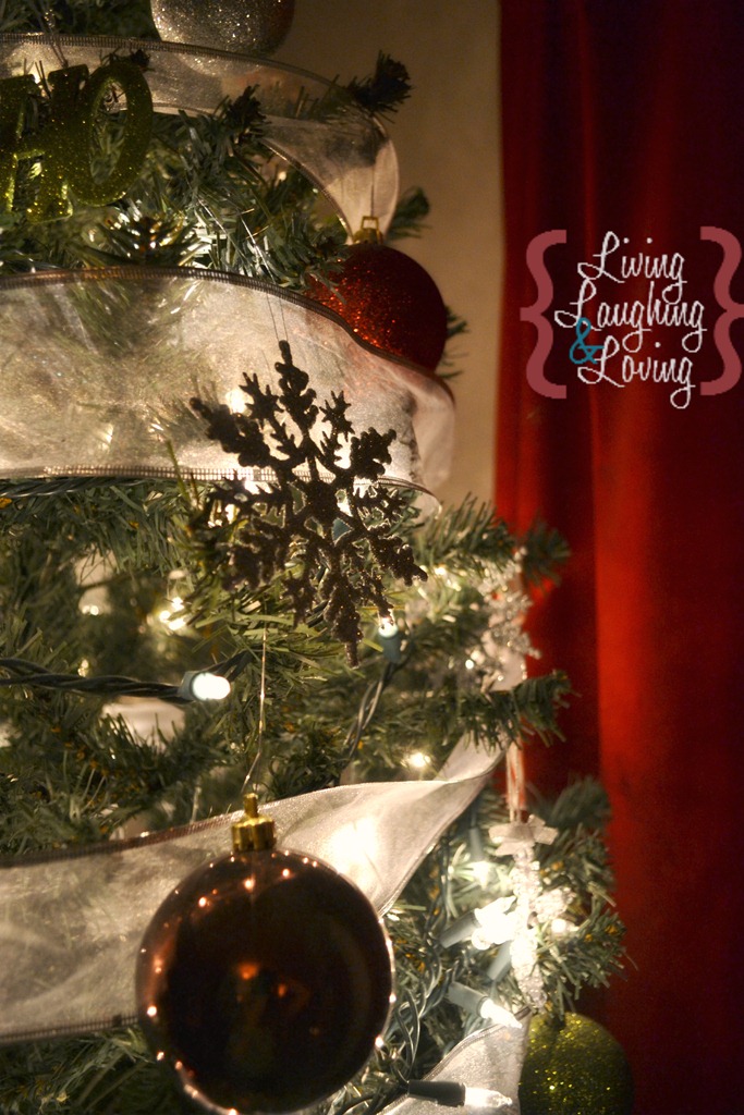 [DSC_0037%25202%255B13%255D.jpg]