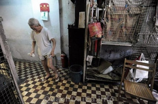 Quach Dai Ca