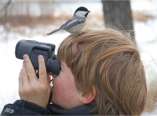 animals-and-humans_11