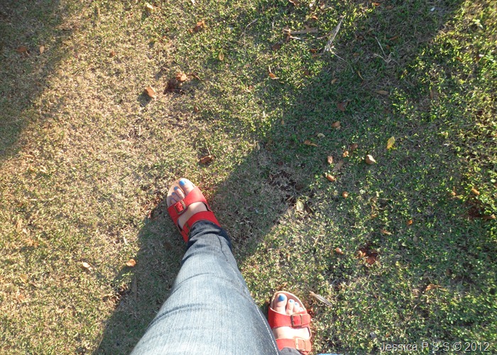 SAM_0518 SAM_0518