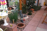 DSC_8557.jpg