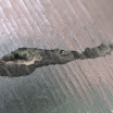 DSC00221-1.jpg
