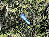 DSC_7500.jpg