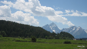 IMG_4209.jpg