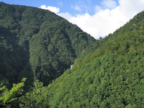 高滝