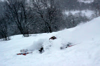 IMG_5959.JPG