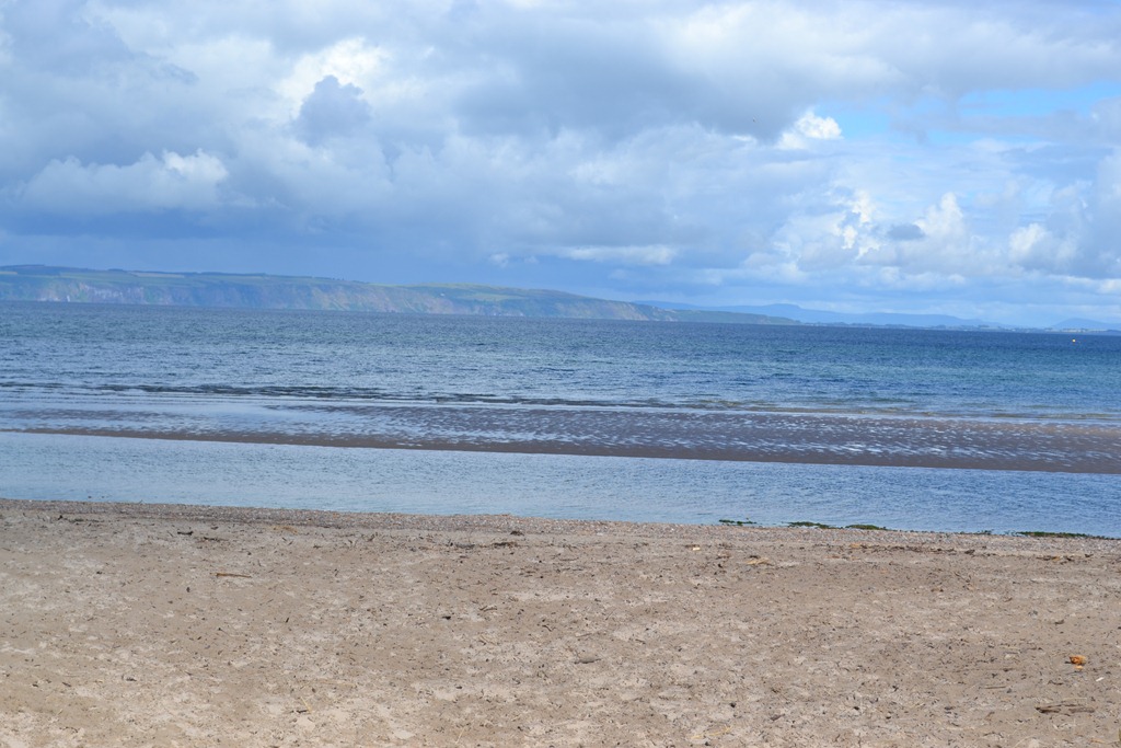 [DSC_01155.jpg]