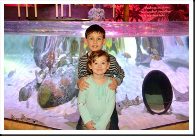 sea life