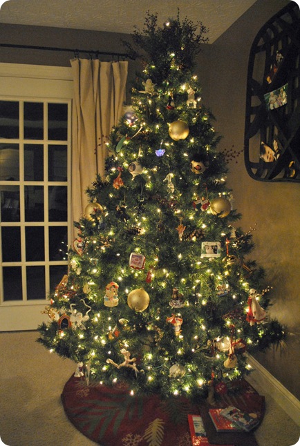 DSC_0044_picnik