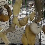 P1153674.JPG