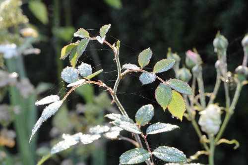 20101013_074228