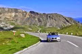 _DSC4276 (800x531) _DSC4276 (800x531)