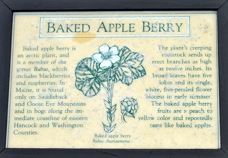 [04w9---Hike---Baked-Apple-Berry-Sign%255B2%255D.jpg]