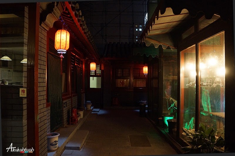 DSC02975 DSC02975