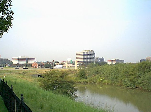 Panoramic view to Irving