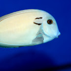 DSC_2186.jpg
