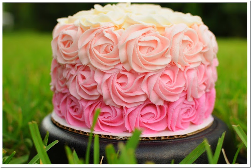Rose Ombre Cake 1