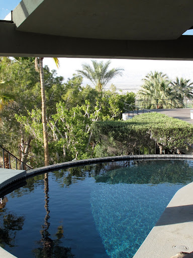 The gorgeous curved pool of the Elrod house