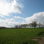 IMG_5042.JPG