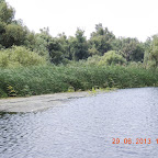 DSCN8177.JPG