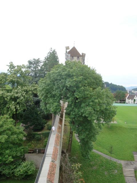 [DSC015298.jpg]