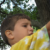 IMG_0515.JPG