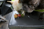 I don't know, Franny.  How many of these apples do you think you would need to bake a pie?