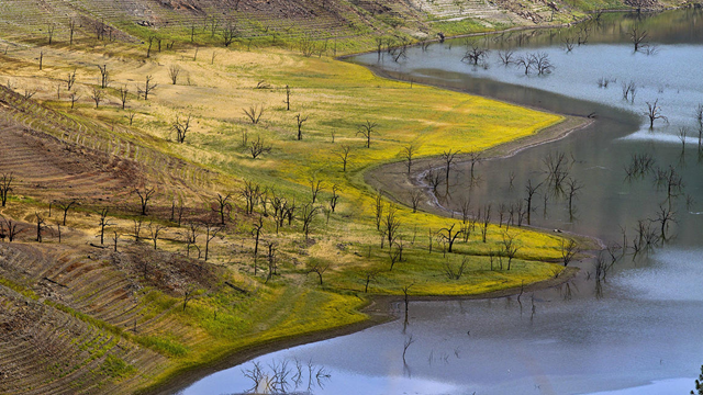 Water rings mark receding levels of California's Pine Flat Reservoir. Photo: Allen J. Schaben / Los Angeles Times
