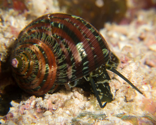 P7064843