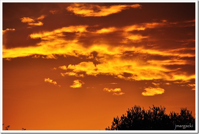 DSC_2264 DSC_2264