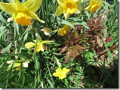 IMG_3759 IMG_3759