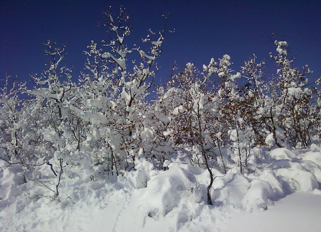 P05-02-12_11.17.jpg