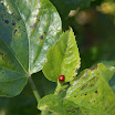 DSC03494.jpg