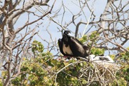 IMG_9559 IMG_9559