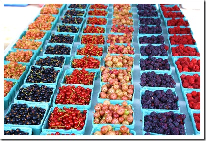 currants, raspberries, gooseberries, ray tousey, rhinebeck farmers market
