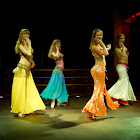 Document Name_3_252.JPG