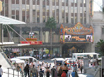 IMG_7924.JPG