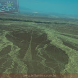 Nazca (21 de 41).jpg