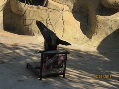 IMG_3454 IMG_3454