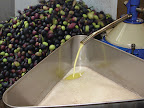 p1235299302(9).jpg