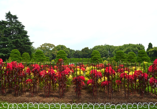 Glória Ishizaka -   Kyoto Botanical Garden 2012 - 120