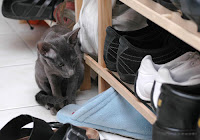 So viiiieeele Schuhe!