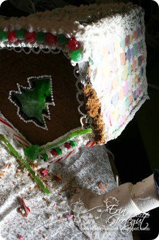 IMG_6741web IMG_6741web