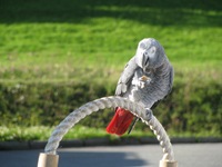 IMG_6520 IMG_6520
