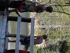 Oljato 2009 237.JPG